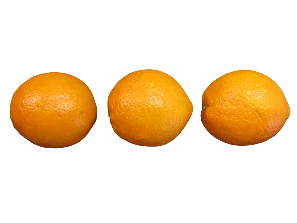 Drei Orangen nebeneinander