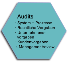 Audits