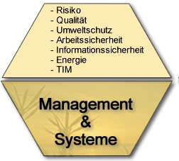 Managemnt & Systeme